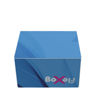 Låda utan lim med lås